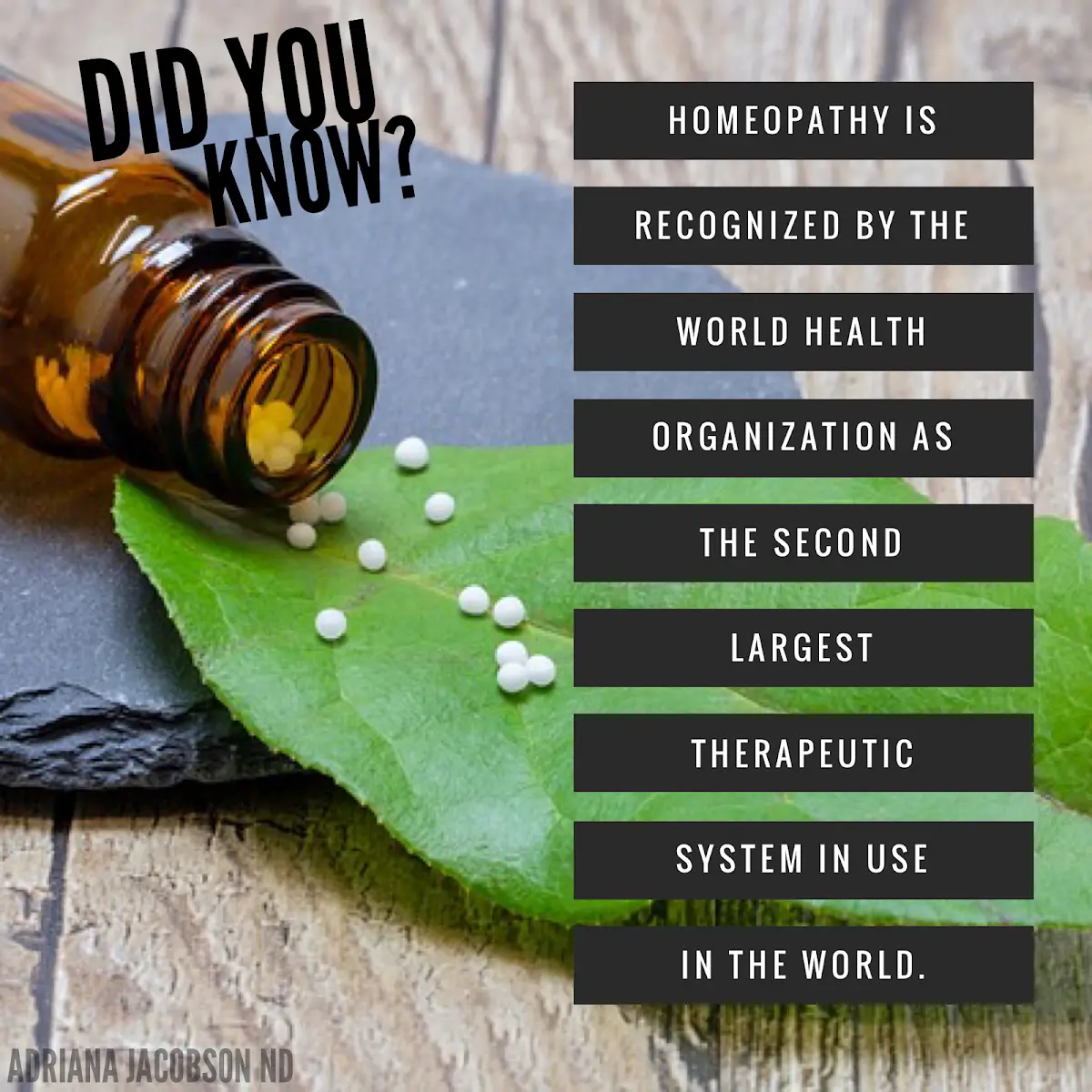 Adriana Jacobson, ND — Naturopathic Medicine in Building K, Austin