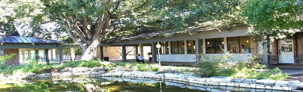 Austin Life Chiropractic — Chiropractic in W Anderson Ln., Austin