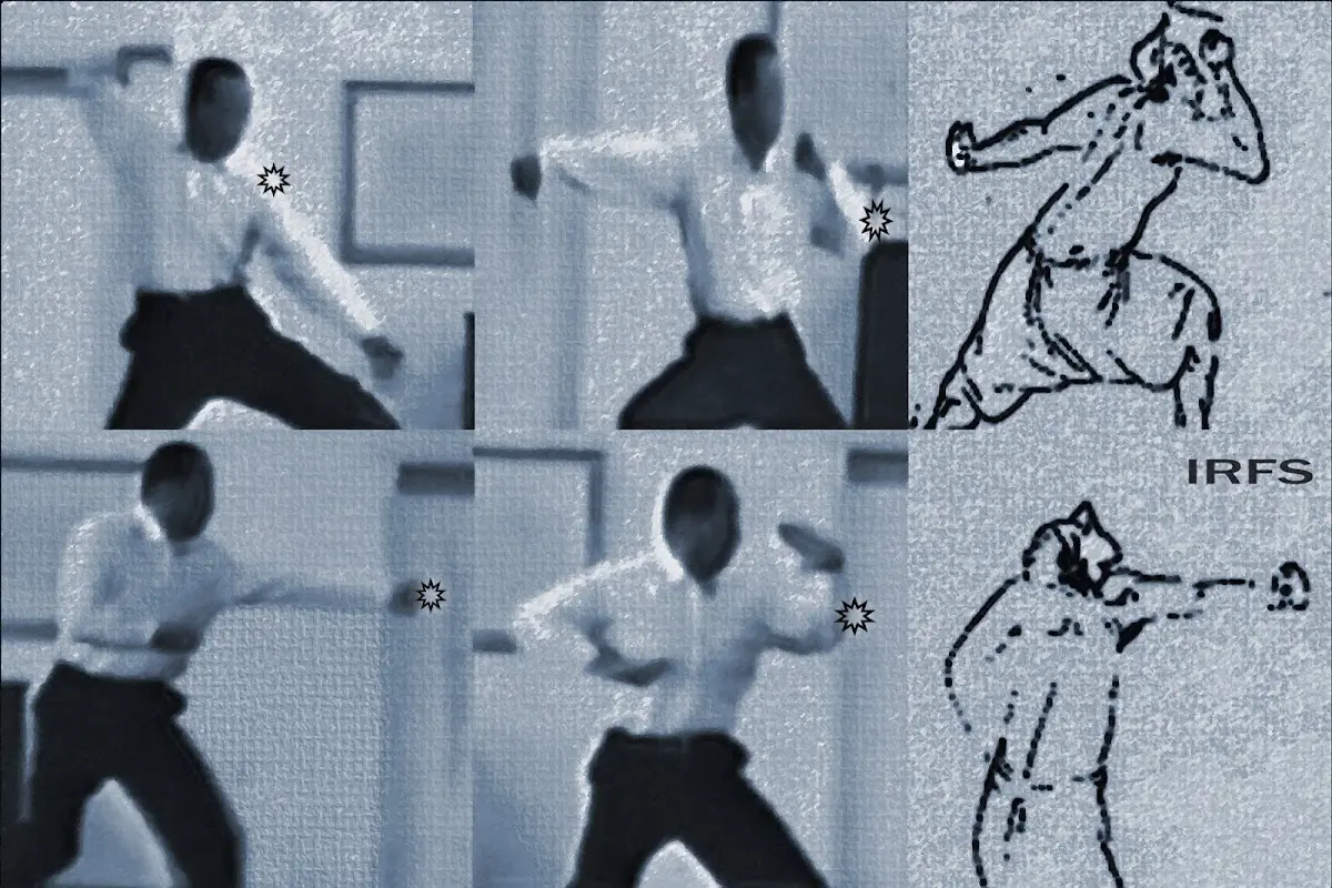IRFS Feudal Arts - Baguazhang/ Bajiquan/ Tai Chi Chuan — Yoga, Tai Chi & Pilates in Anderson Mill Rd, Austin