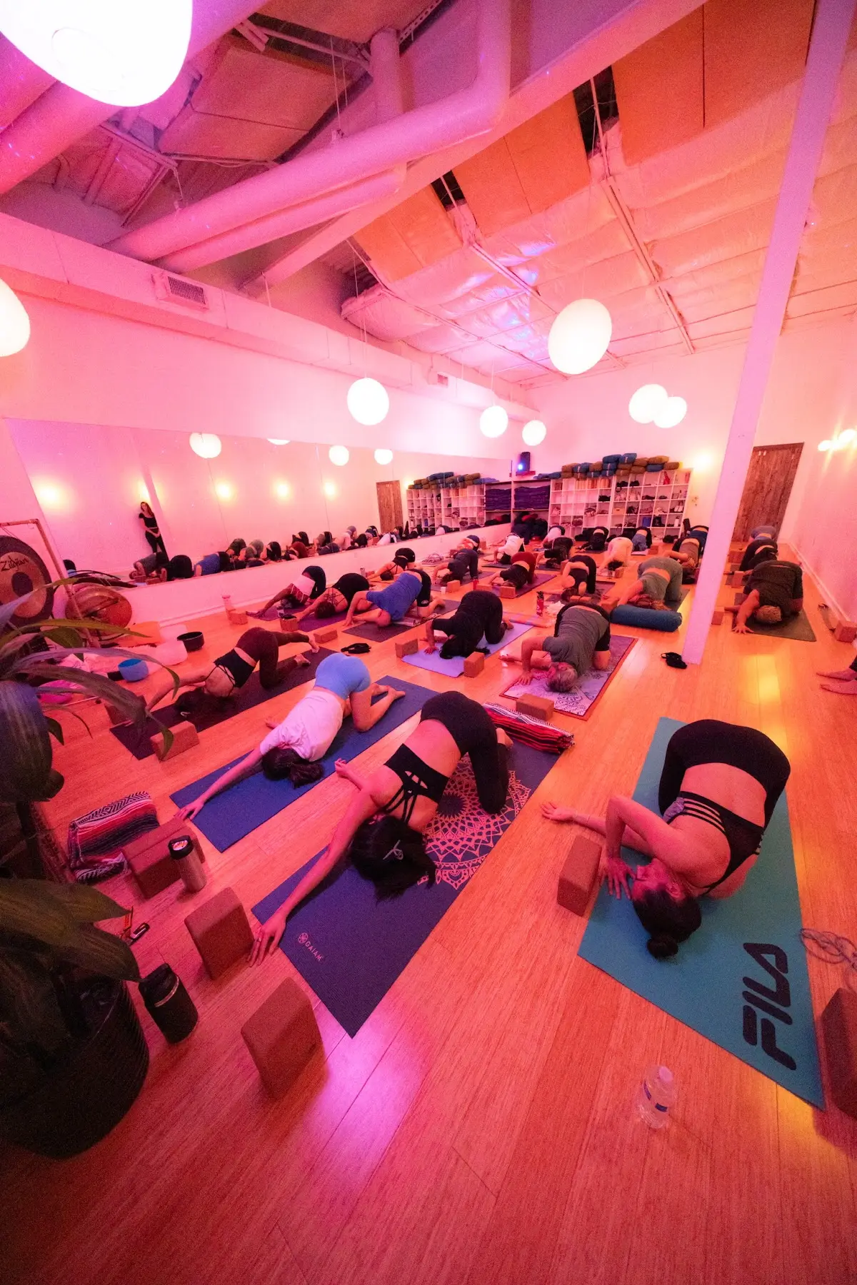 Lizard Yoga — Yoga, Tai Chi & Pilates in Menchaca Rd Ste 104-a, Austin