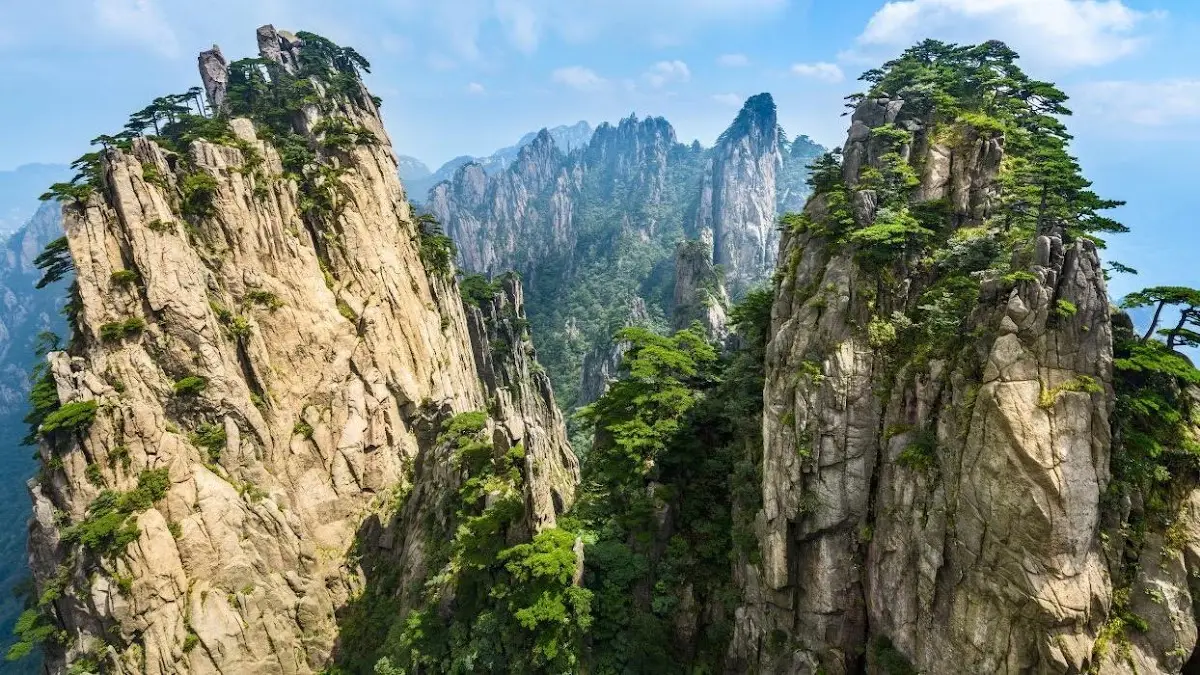 Pine Mountain Chinese Acupuncture & Herb Clinic: Ziyang Zhou, L.Ac. — Acupuncture in W 38th St, Austin