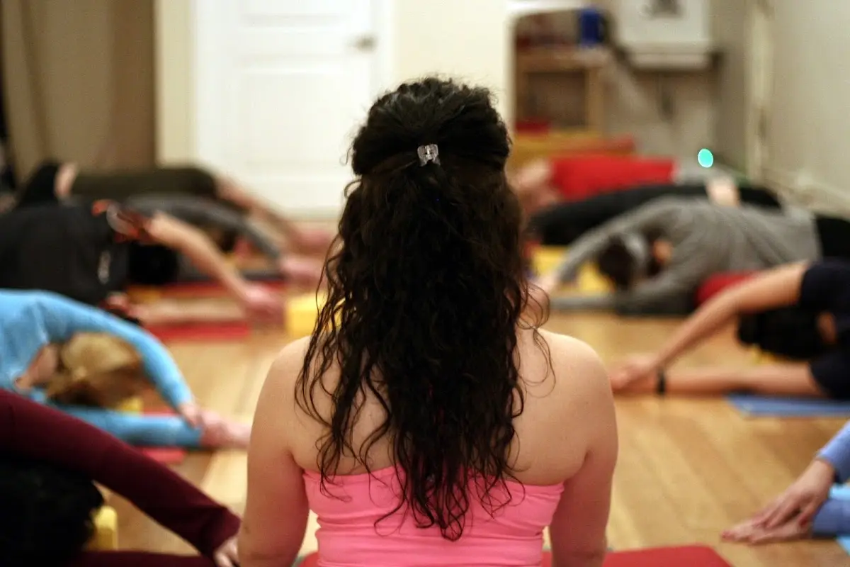 Ahimsa Yoga Studio Berwyn — Yoga, Tai Chi & Pilates in S Oak Park Ave, Chicago