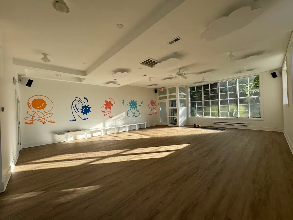 Analog Yoga — Yoga, Tai Chi & Pilates in Ashland Ave, Chicago