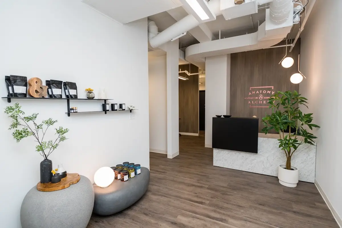 Anatomy & Alchemy Acupuncture & Herbal Medicine — Acupuncture in E Madison St, Chicago