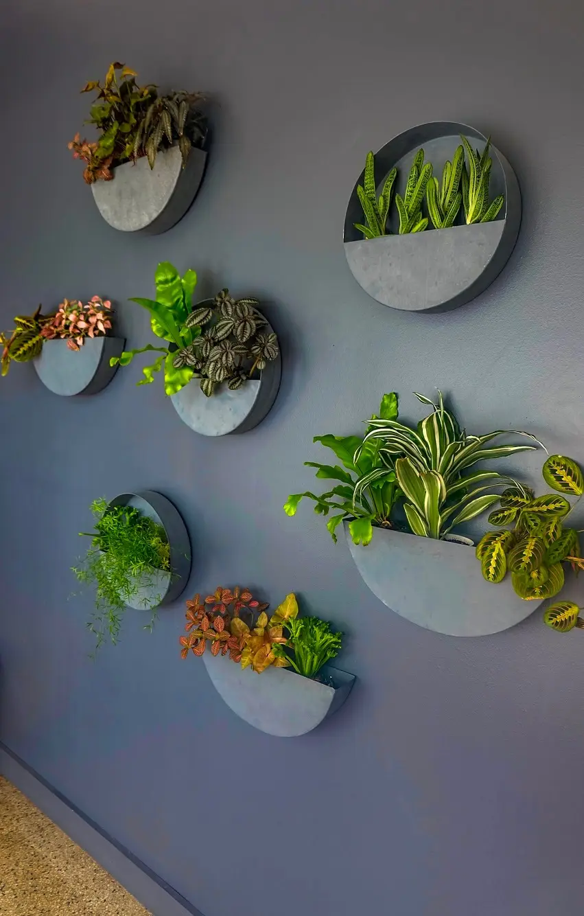 Andersonville Acupuncture Studio — Acupuncture in N Clark St, Chicago