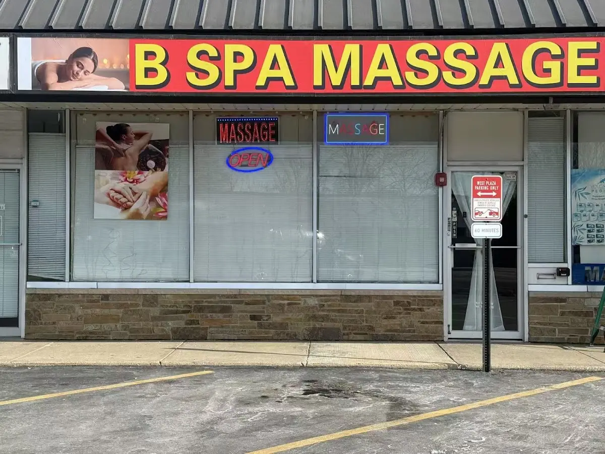 b spa massage — Massage Therapy in S Mannheim Rd, Chicago