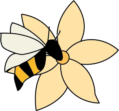 Bee Balanced Nutrition — Diet & Nutrition in W Institute Pl, Chicago