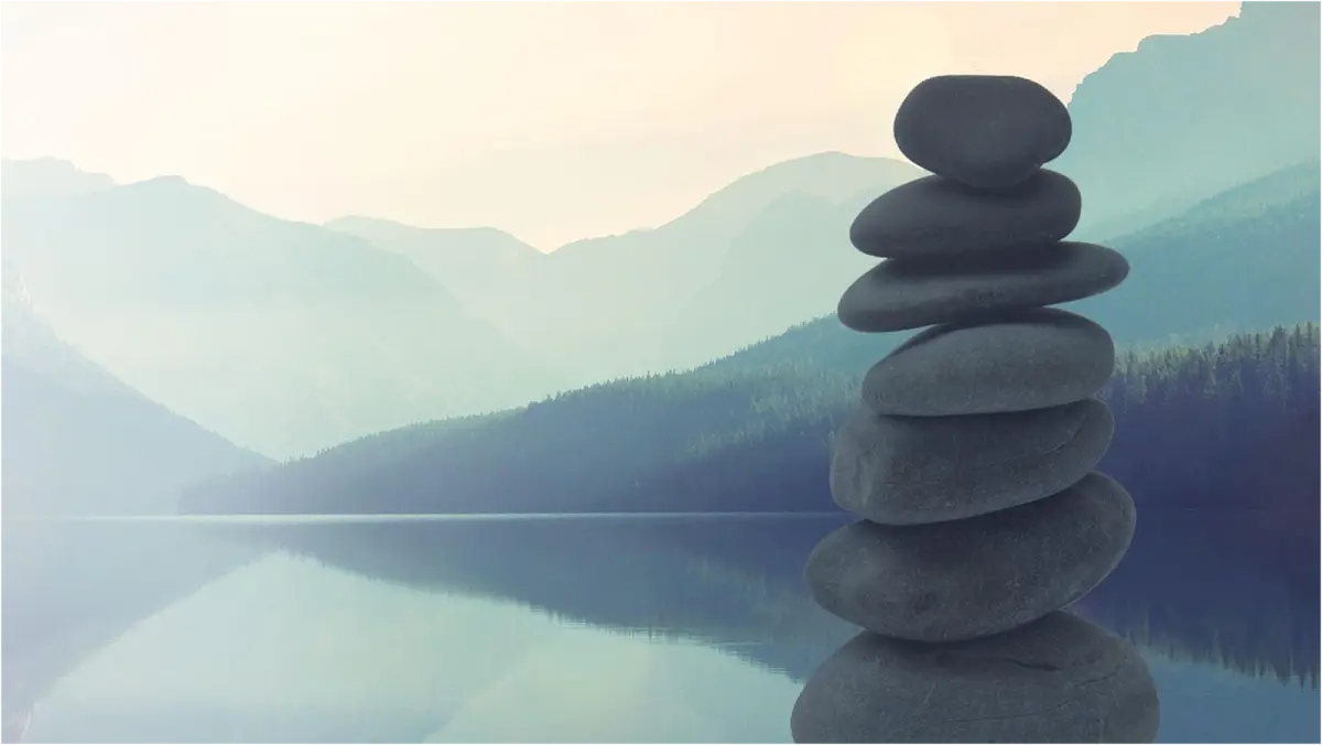 Brookfield Acupuncture & Chiropractic Wellness Center — Acupuncture in Grand Blvd, Chicago