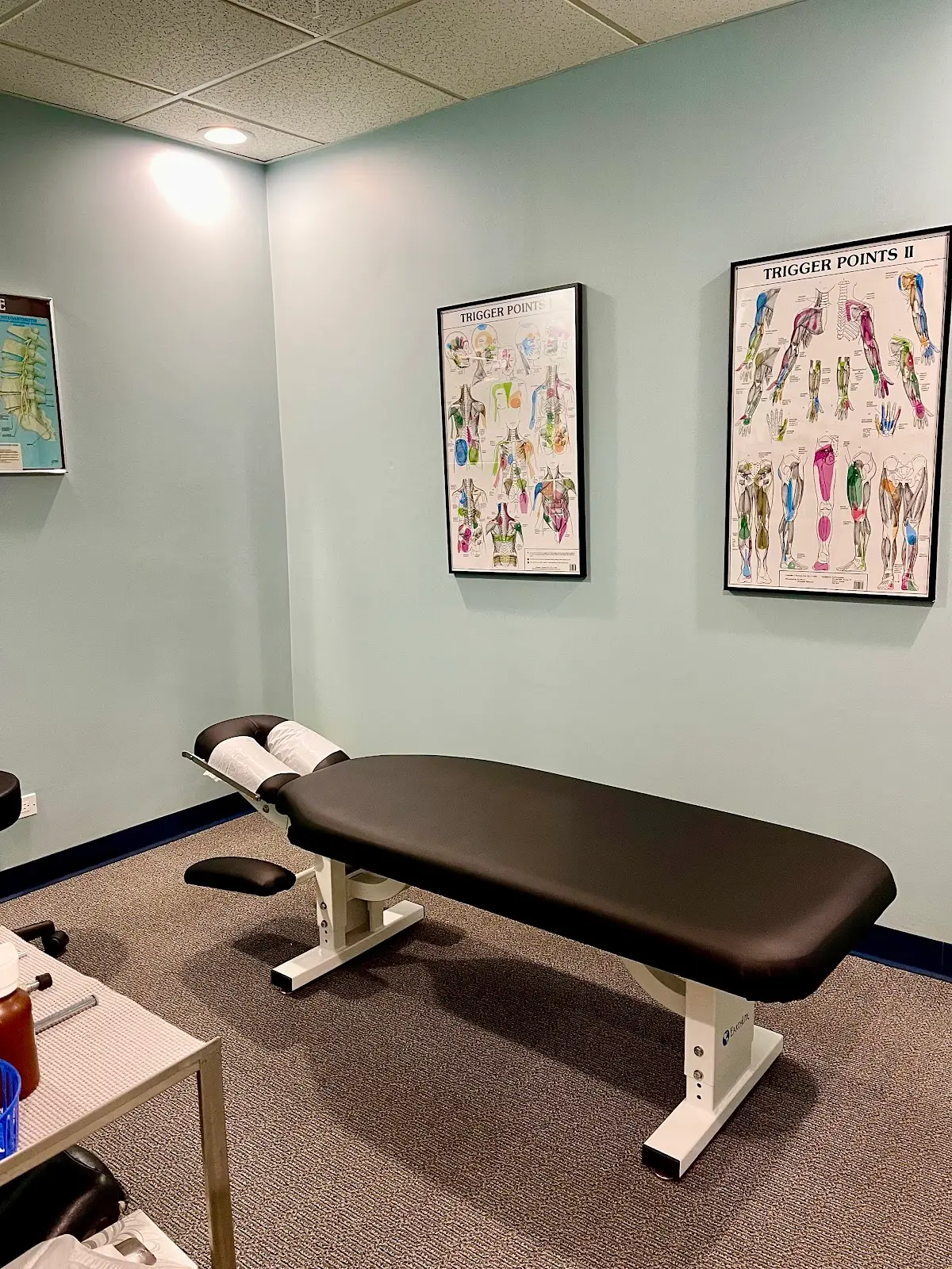 Complete Chicago Chiropractic and Sports Medicine, LTD. — Massage Therapy in W Forest Preserve Dr, Chicago
