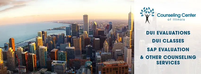 Counseling Center of Illinois — Counsellors & Mentors in S Roberts Rd #101, Chicago