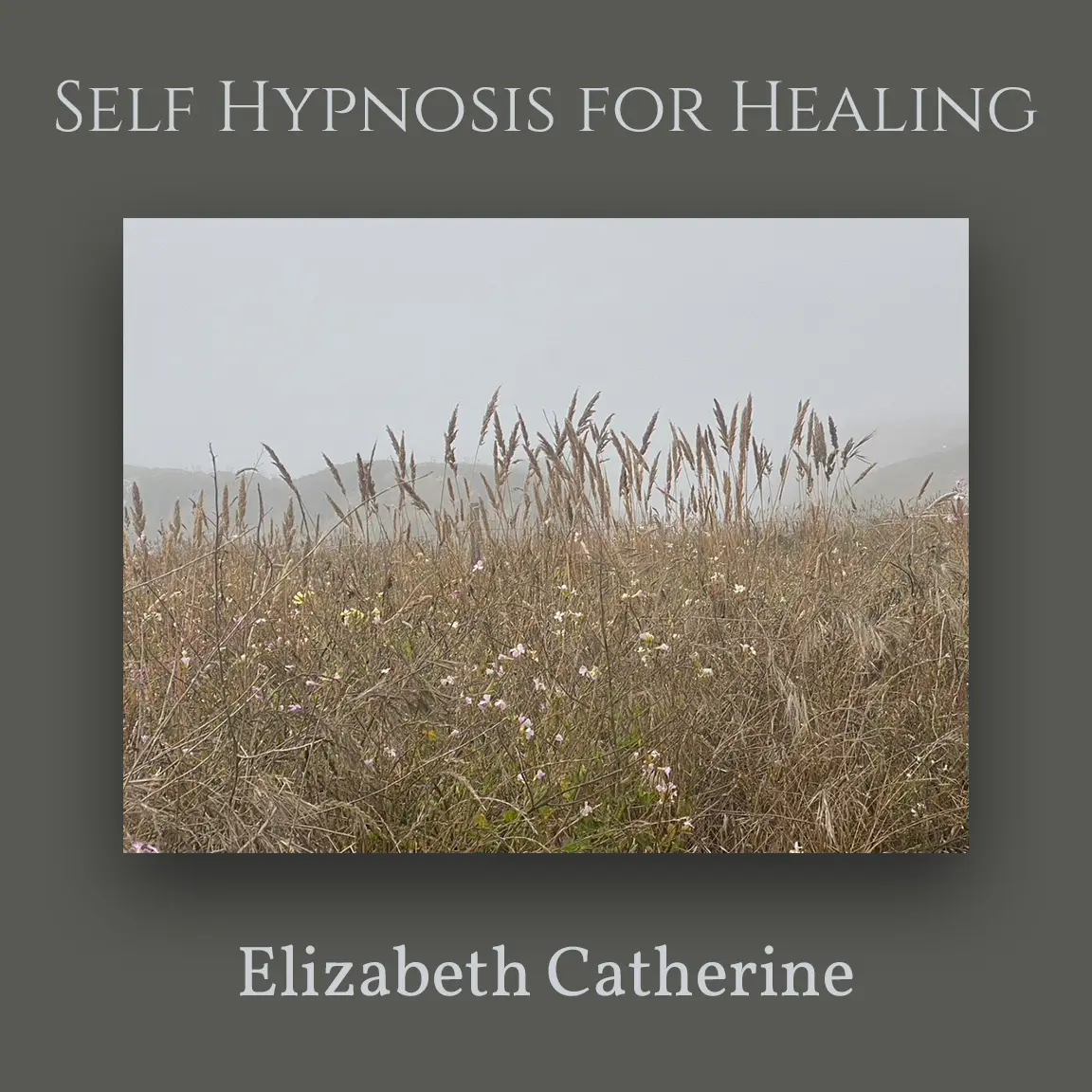 Elizabeth Catherine — Hypnotherapy & NLP in Western Ave, Chicago