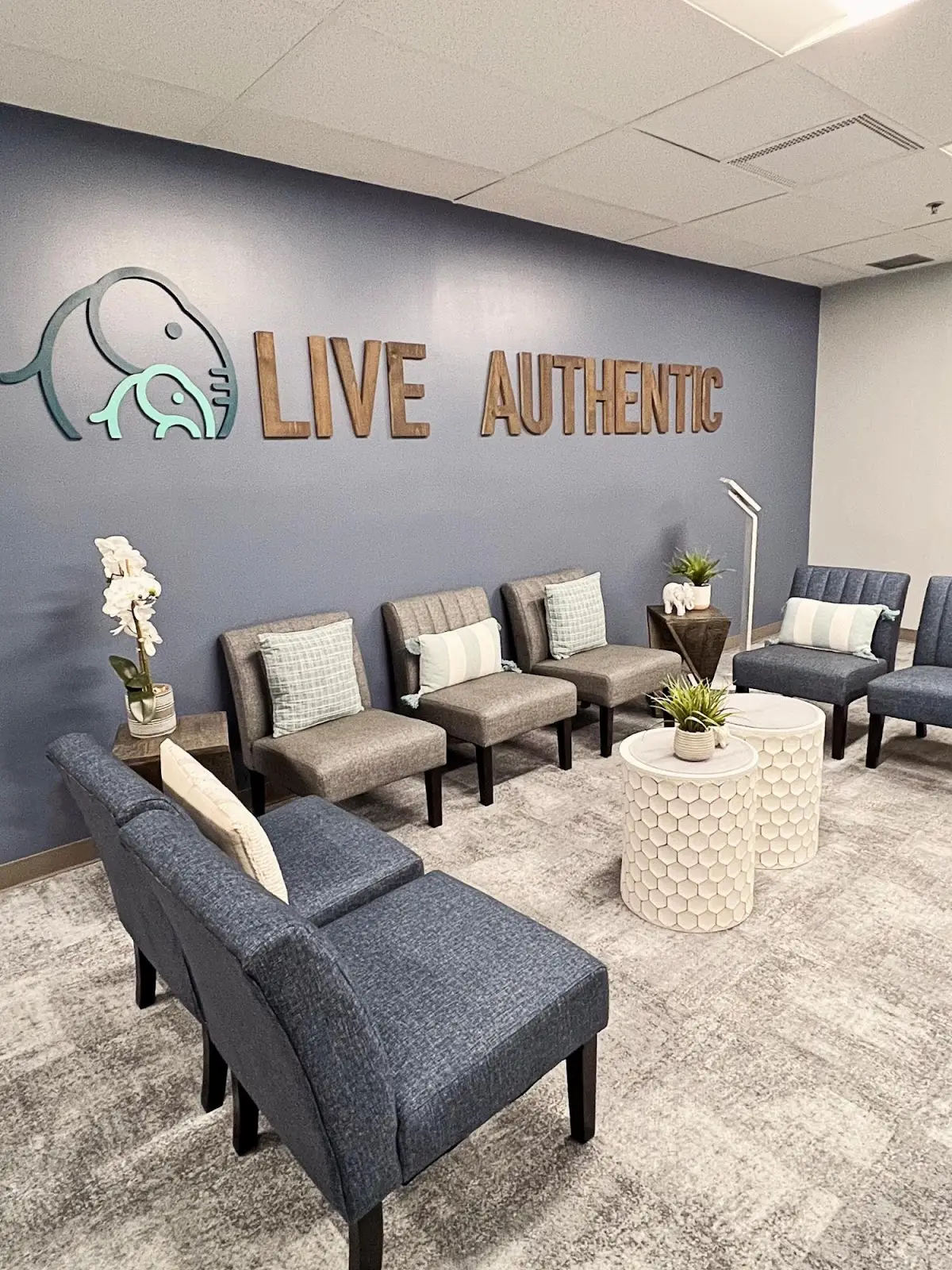 Ellie Mental Health — Psychotherapy in Jorie Blvd #228, Chicago