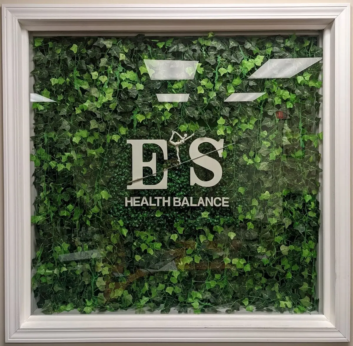 ES Health Balance / Acupuncture Wave — Reiki & Energy Medicine in Renaissance Dr Unit 102, Chicago