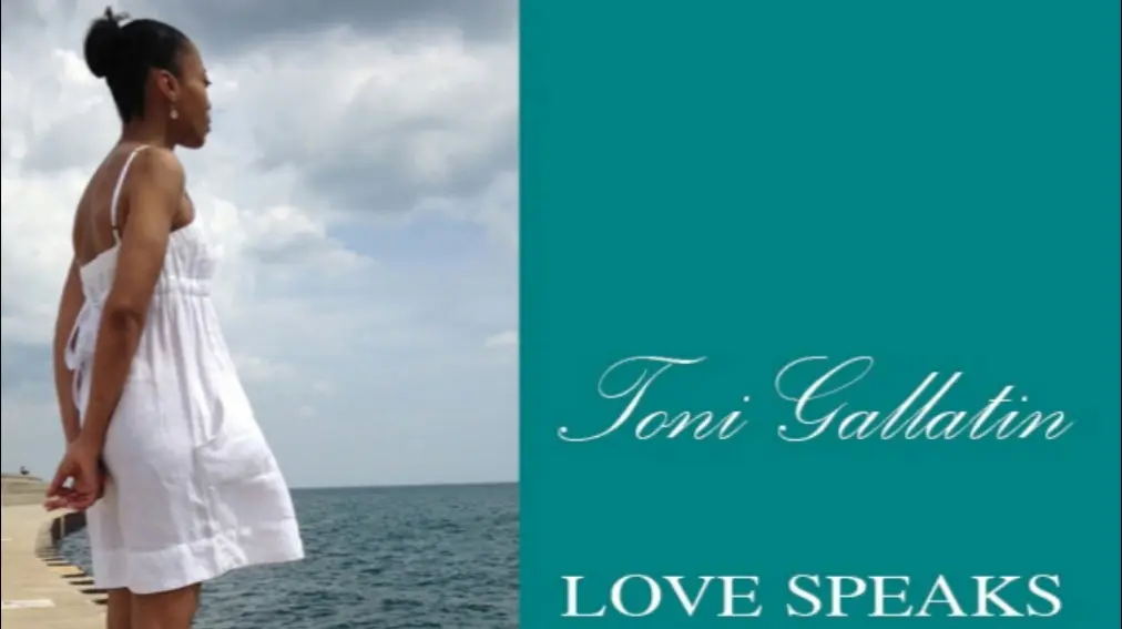 Gallatin Consulting — Counsellors & Mentors in S King Dr, Chicago