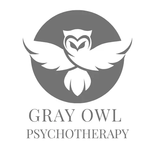 Gray Owl Psychotherapy — Psychotherapy in Schiller Park, Chicago