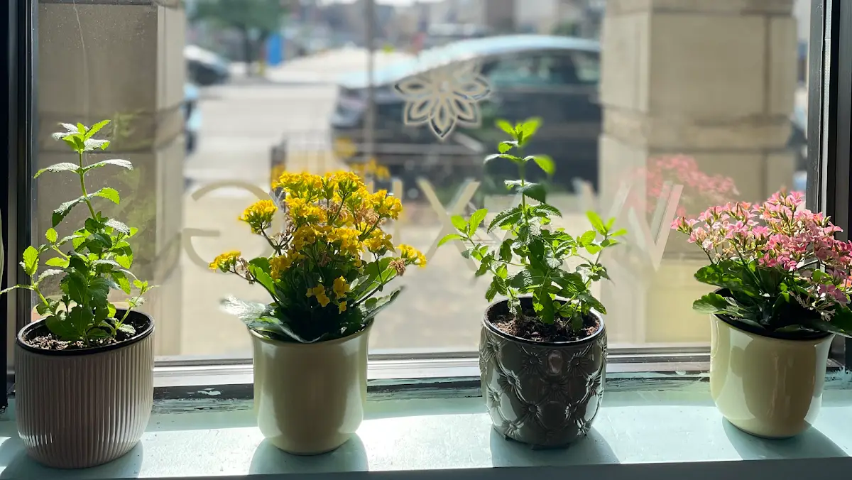 Great Lakes Spa — Massage Therapy in N Ashland Ave Unit 1, Chicago