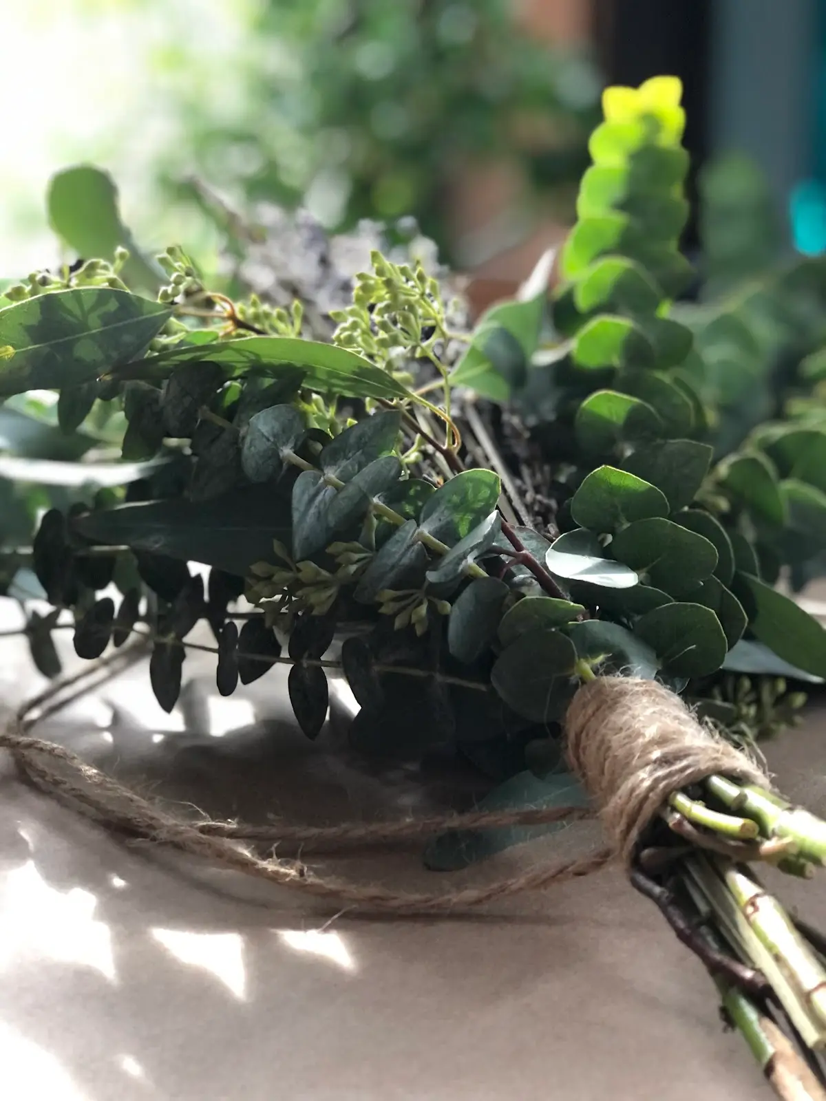 Hierbitas by Sandra — Reiki & Energy Medicine in W Archer Ave, Chicago