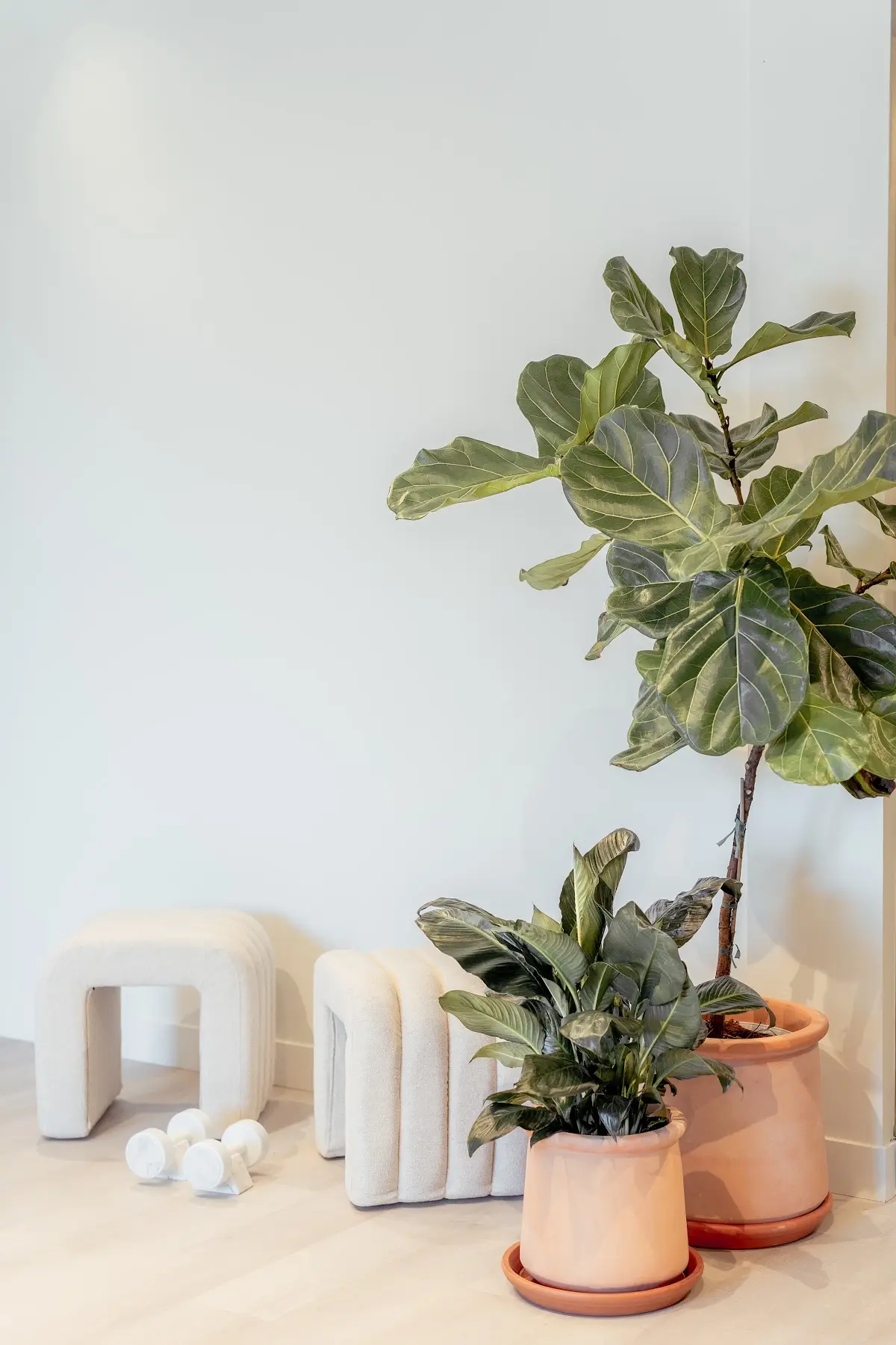IN BALANCE BODY & MIND — Yoga, Tai Chi & Pilates in N Kingsbury St #203, Chicago