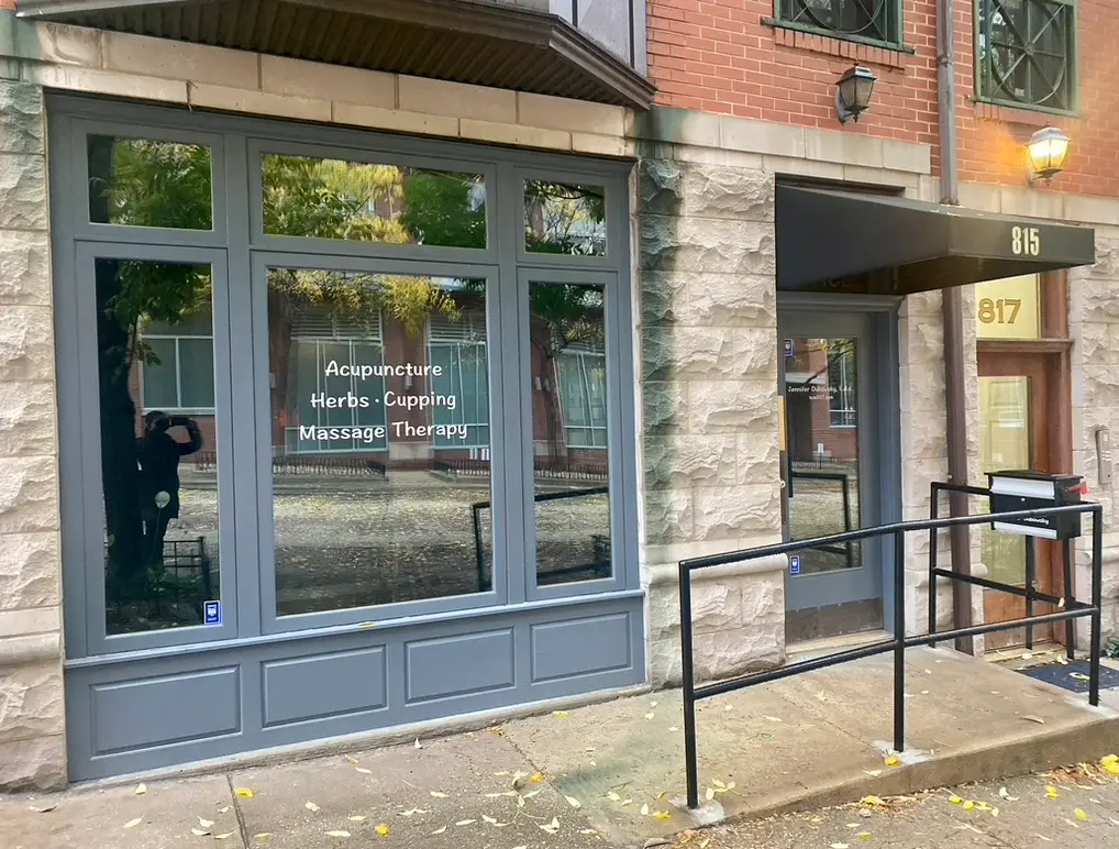 Jennifer Dubowsky Chicago Acupuncturist — Acupuncture in Storefront, Chicago