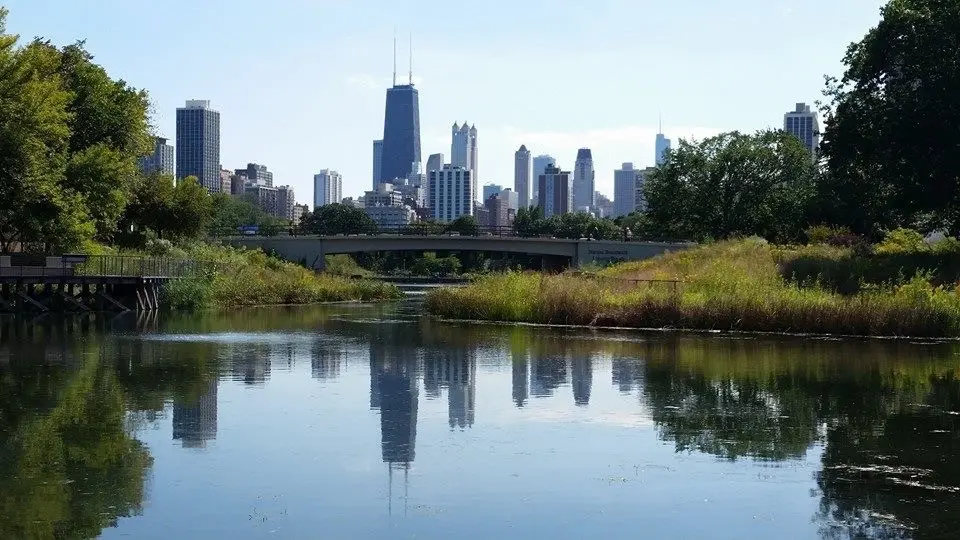 Karen Hand Hypnosis, Chicago LLC — Hypnotherapy & NLP in N Sauganash Ave, Chicago