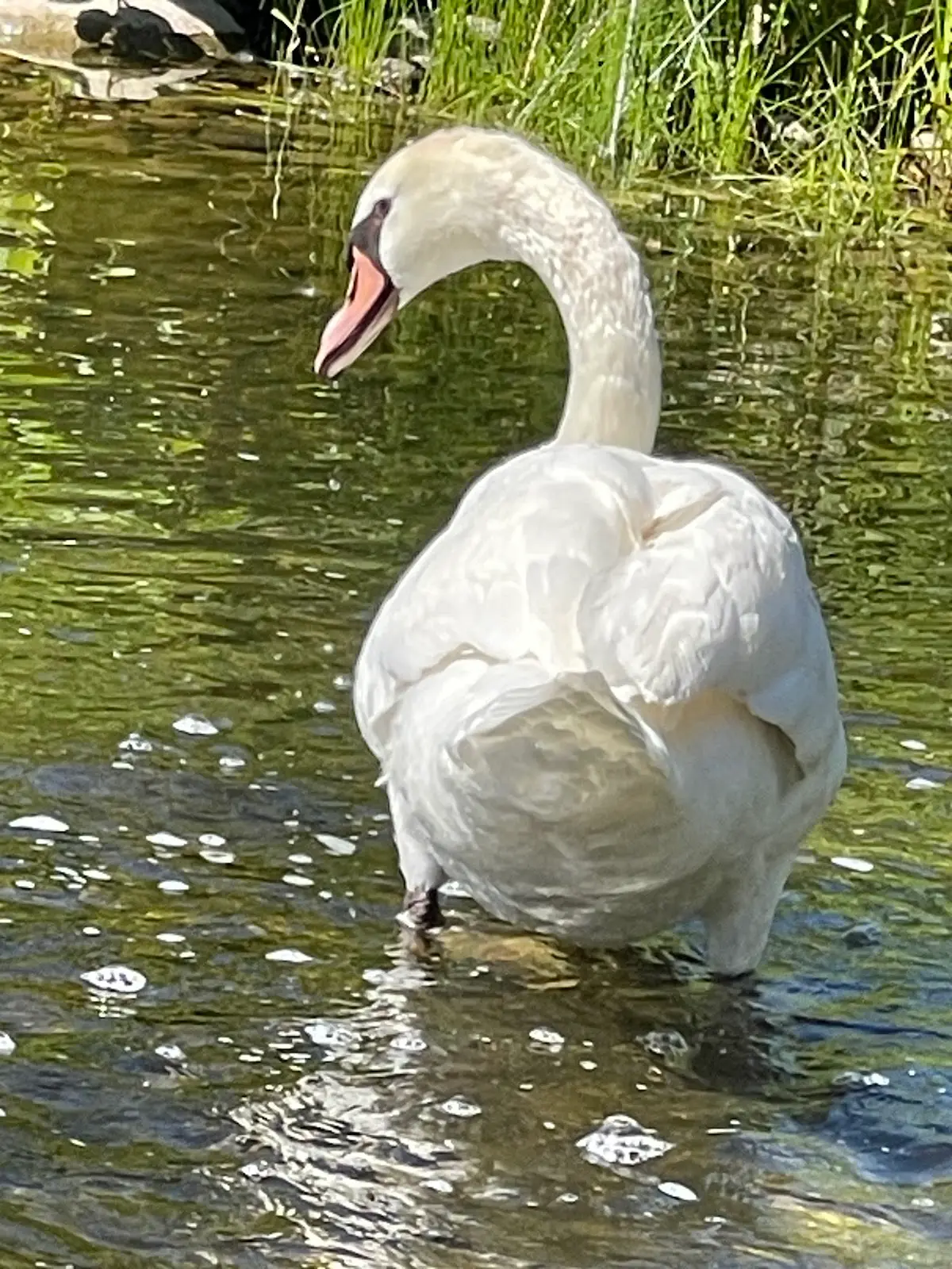 Lake Katherine Kayaking — Yoga, Tai Chi & Pilates in Lake Katherine Dr, Chicago