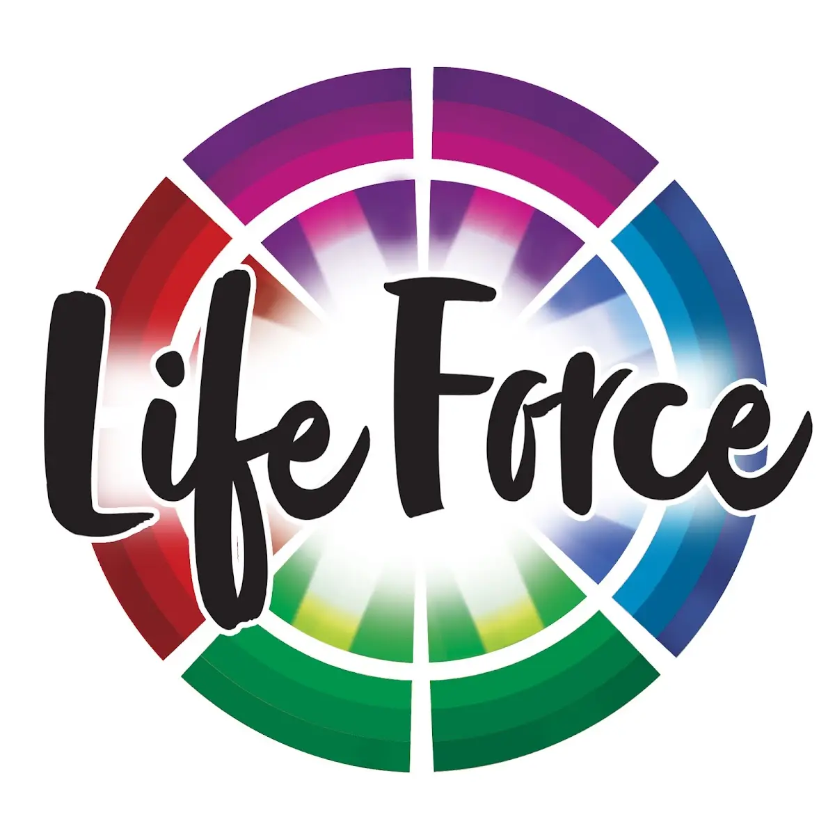 Life Force Shamanic Arts & Healing — Reiki & Energy Medicine in W Belmont Ave, Chicago