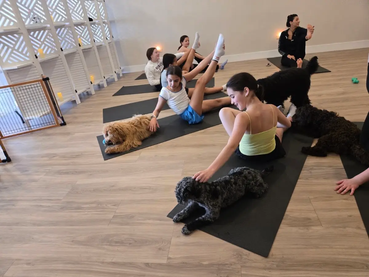 Luna Blanca Wellness Studio — Yoga, Tai Chi & Pilates in Des Plaines, Chicago