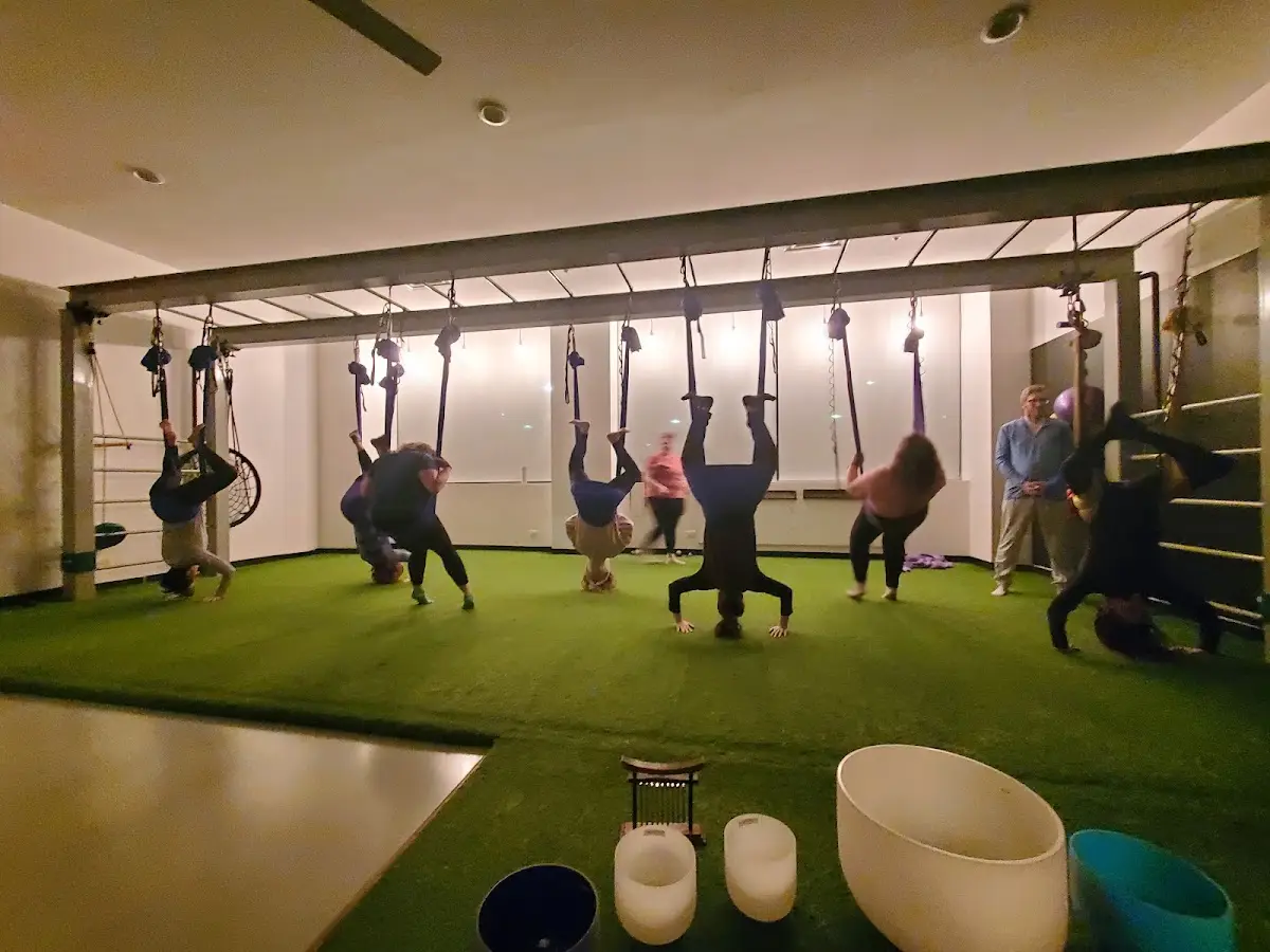 Macrocosm Roots at the Treehouse — Reiki & Energy Medicine in Riverside Rd, Chicago