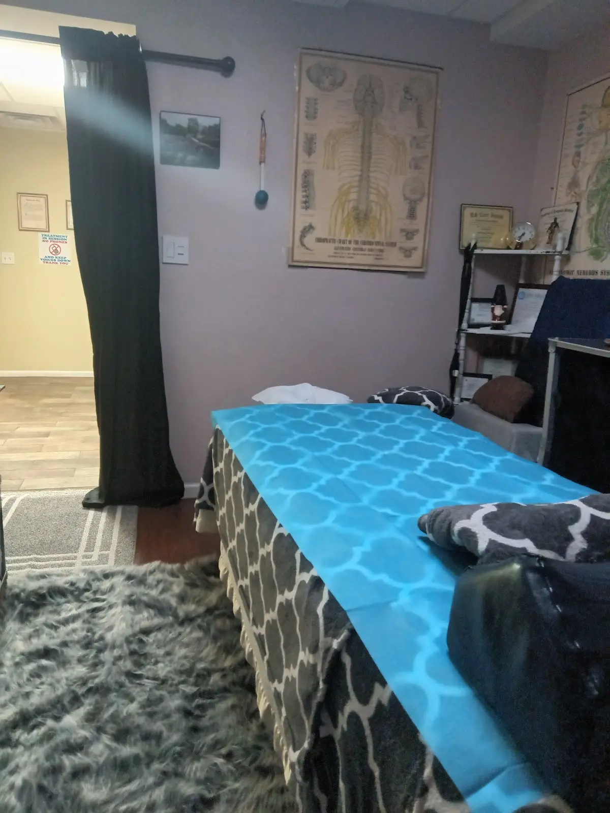 Massage, manual lymphatic drainage and holistic pain therapy by thelma — Massage Therapy in A Rose St, Chicago