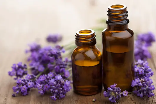 Mayan Moon Healing — Acupuncture in Park Ridge, Chicago