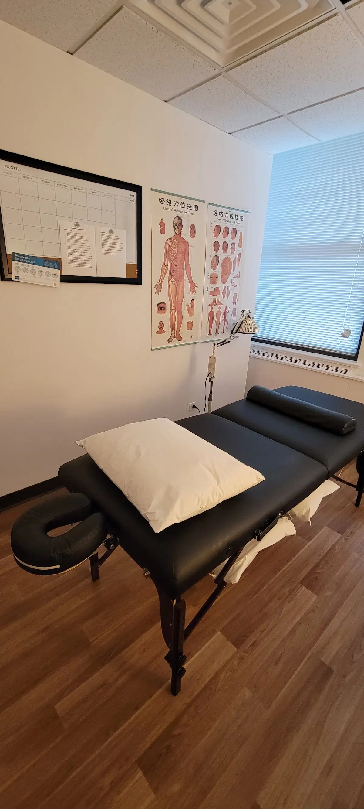 Millennium III Acupuncture — Acupuncture in N Michigan Ave, Chicago