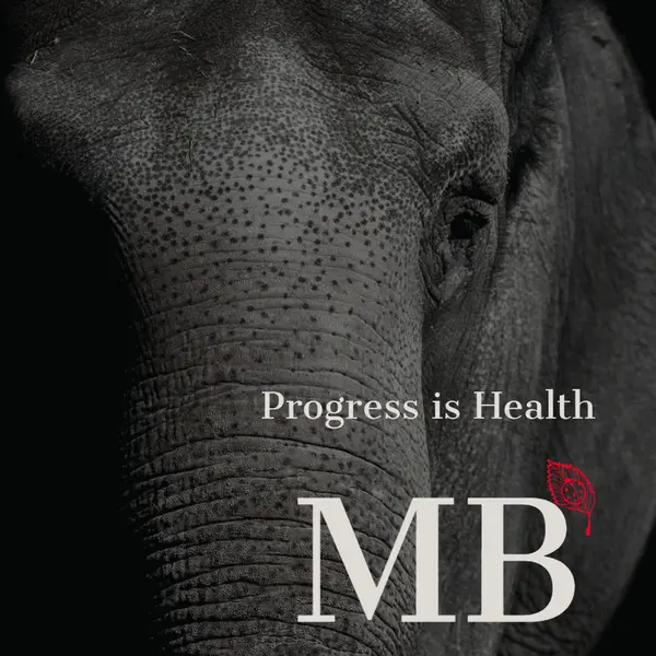 Mindful Behavior PLLC — Psychotherapy in W 63rd St, Chicago