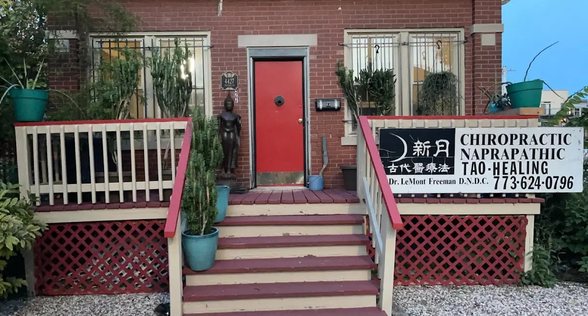 New Moon Ancient Healing — Chiropractic in S Michigan Ave, Chicago