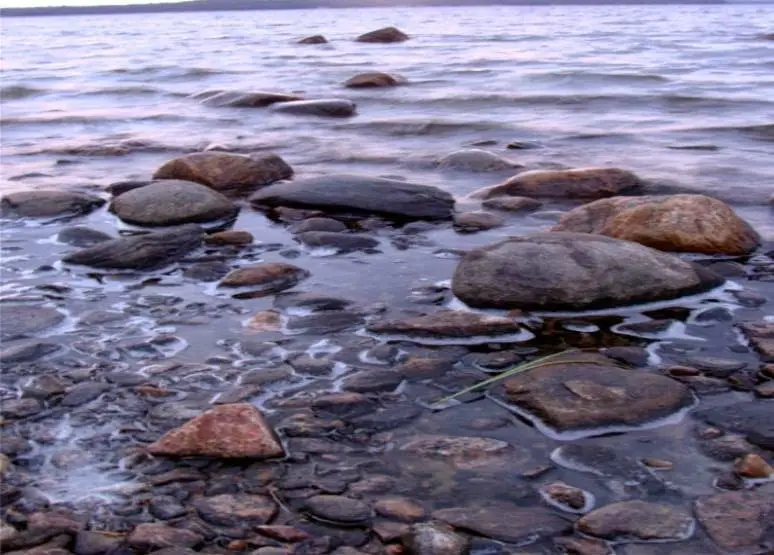 Oak Park Reiki Wellness — Reiki & Energy Medicine in Lake St, Chicago