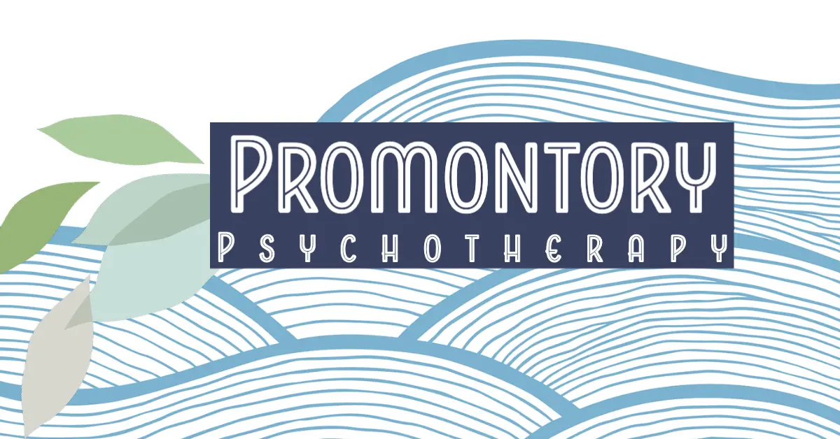 Promontory Psychotherapy, INC — Psychotherapy in S Shore Dr, Chicago