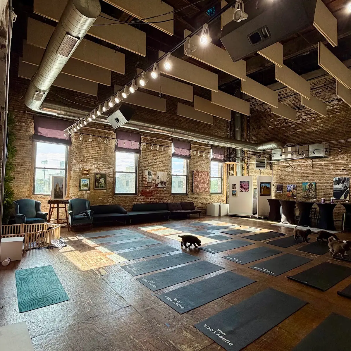 Puppy Yoga Chicago - Fulton Market (Puppy Yoga USA) — Yoga, Tai Chi & Pilates in W Hubbard St Unit 307, Chicago