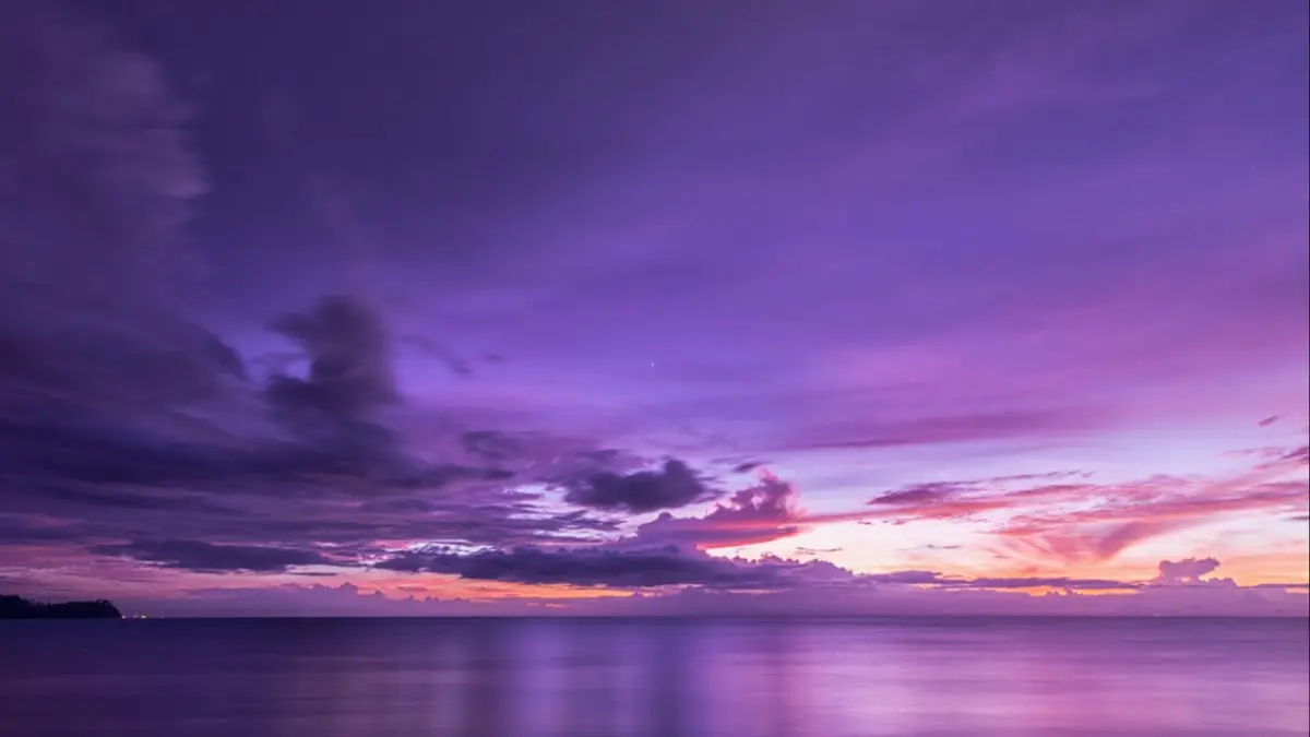 Purple Cloud Healing & Wellness — Acupuncture in N Clark St, Chicago