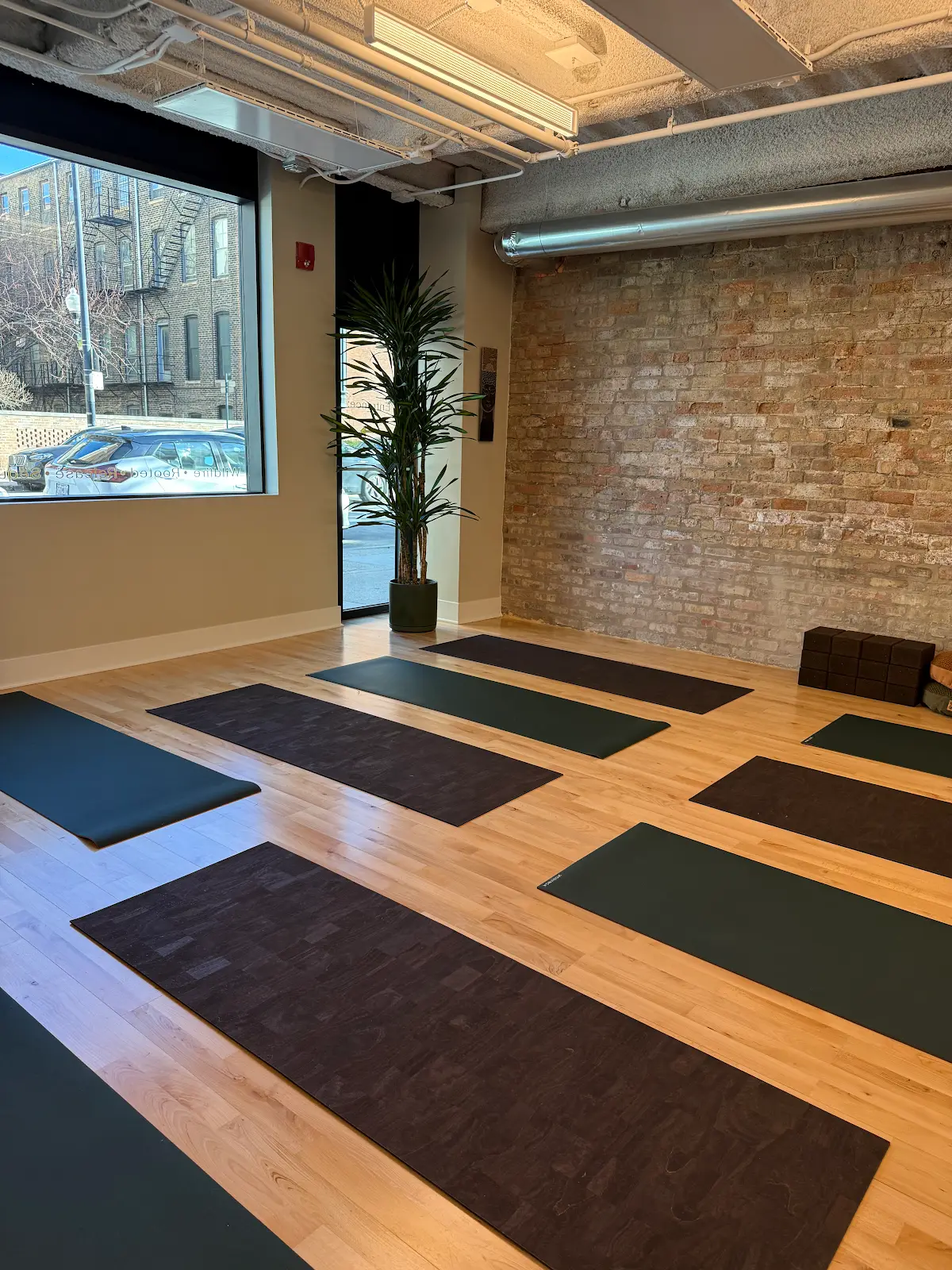 Sequoia: Mindful Movement — Yoga, Tai Chi & Pilates in N Wells St, Chicago