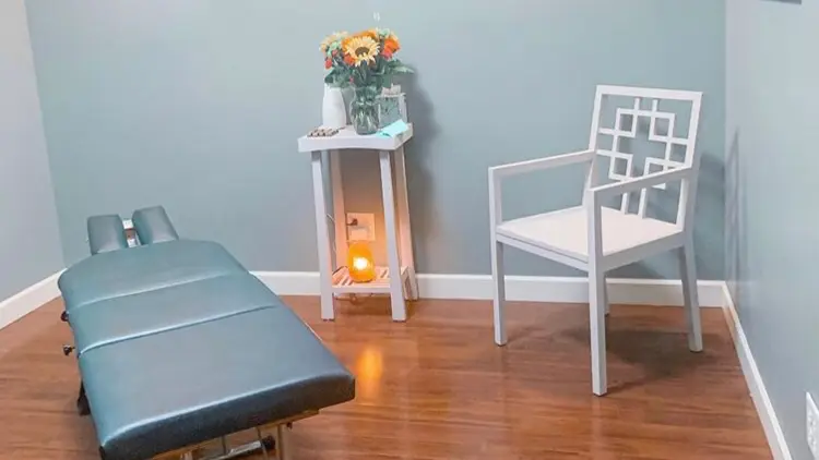 Serenity Holistic Health — Massage Therapy in Madison St, Chicago