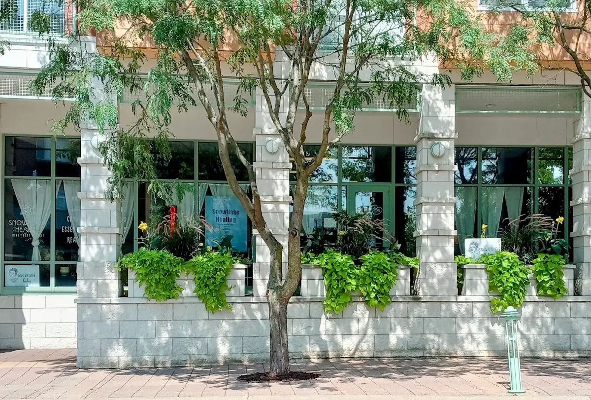 Snowflake Healing mind body spirit — Reiki & Energy Medicine in Market St, Chicago