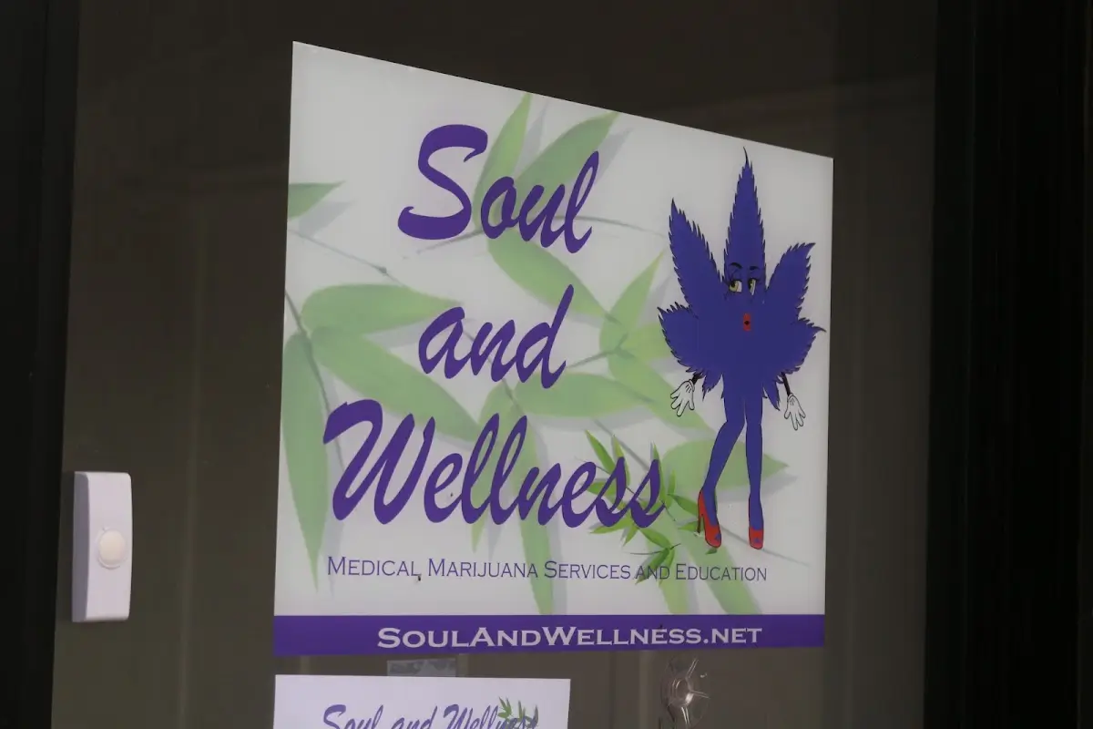 Soul and Wellness LLC — Naturopathic Medicine in S Blue Island Ave, Chicago