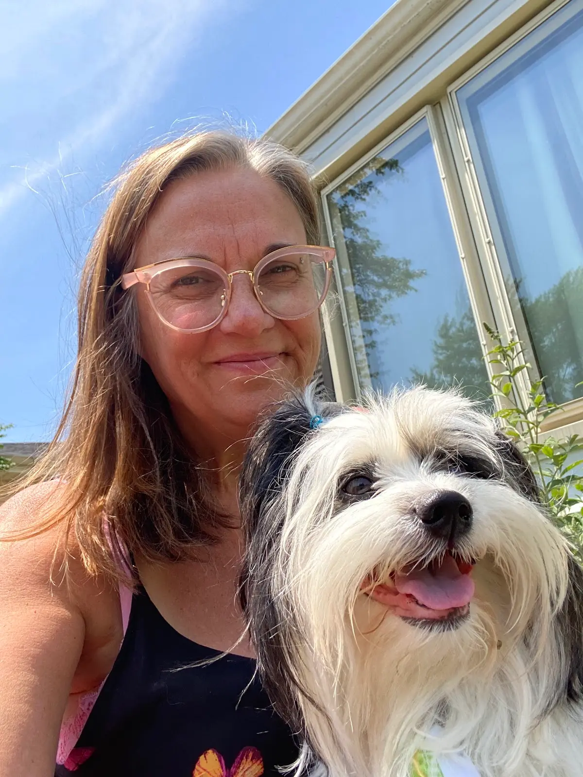 Susan Buss, LCSW, Big Sky Consulting Inc. — Hypnotherapy & NLP in Forest Park, Chicago