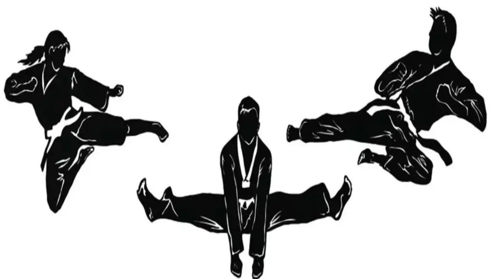 T-USA Martial Arts — Yoga, Tai Chi & Pilates in S Harlem Ave, Chicago