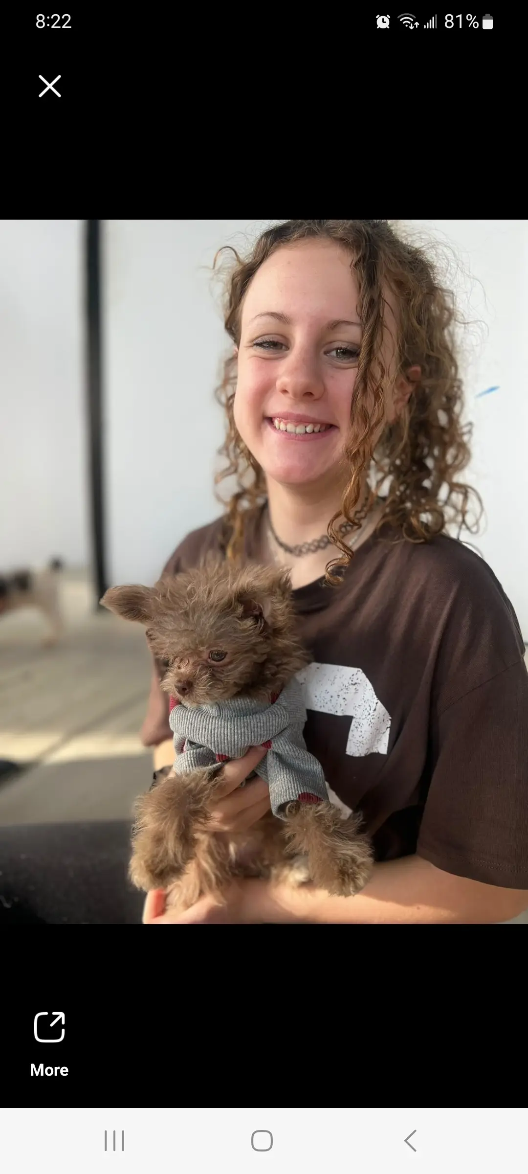The Puppy Yoga Center — Yoga, Tai Chi & Pilates in S Wacker Dr, Chicago
