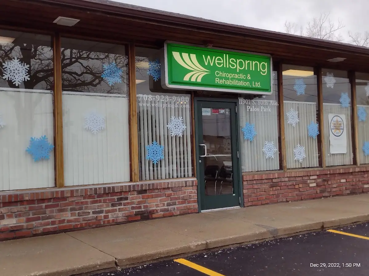 Wellspring Chiropractic & Rehabilitation, Ltd. — Chiropractic in Palos Park, Chicago