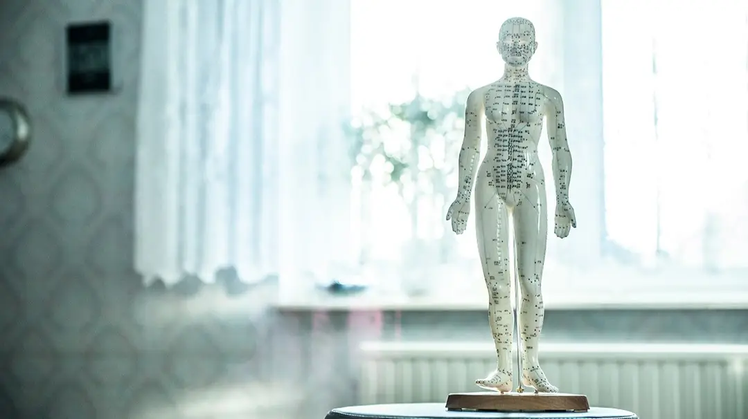 West Meets East Acupuncture — Acupuncture in Adds other location, Chicago