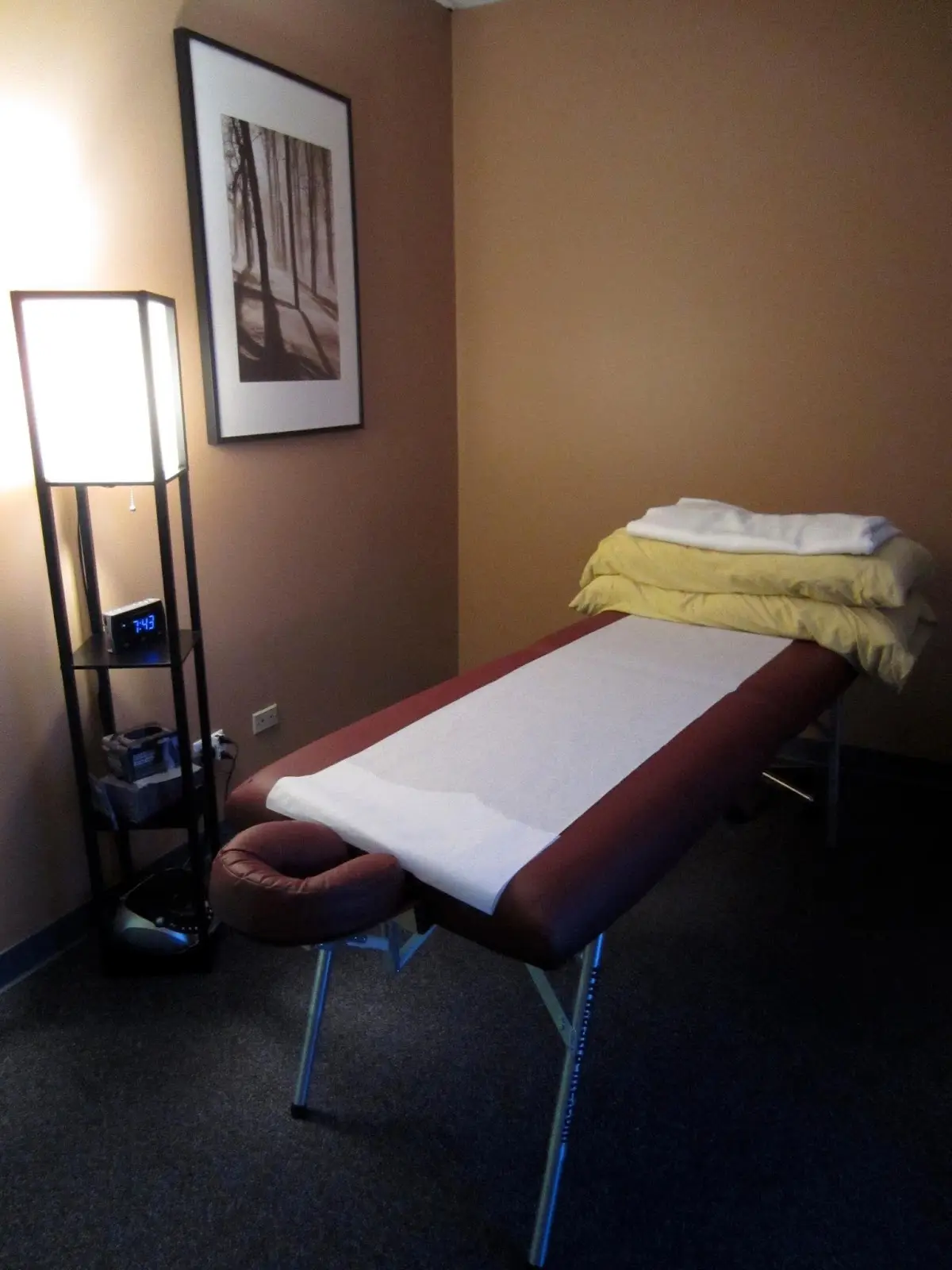 Wholistic Therapeutics — Physical & Rehabilitation Therapy in Hickory Hills, Chicago