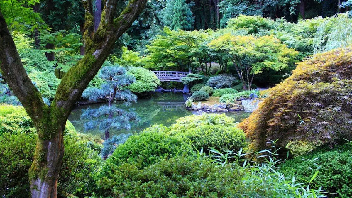 Biomagnetismo Medico Dallas — Reiki & Energy Medicine in Forest Ln #1113, Dallas
