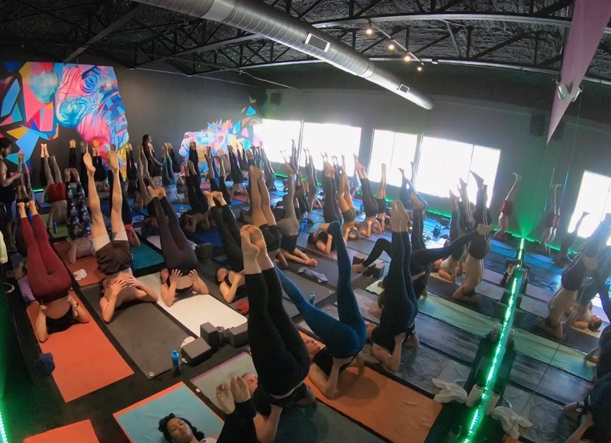 Black Swan Yoga - Lovers — Yoga, Tai Chi & Pilates in W Lovers Ln #3332, Dallas