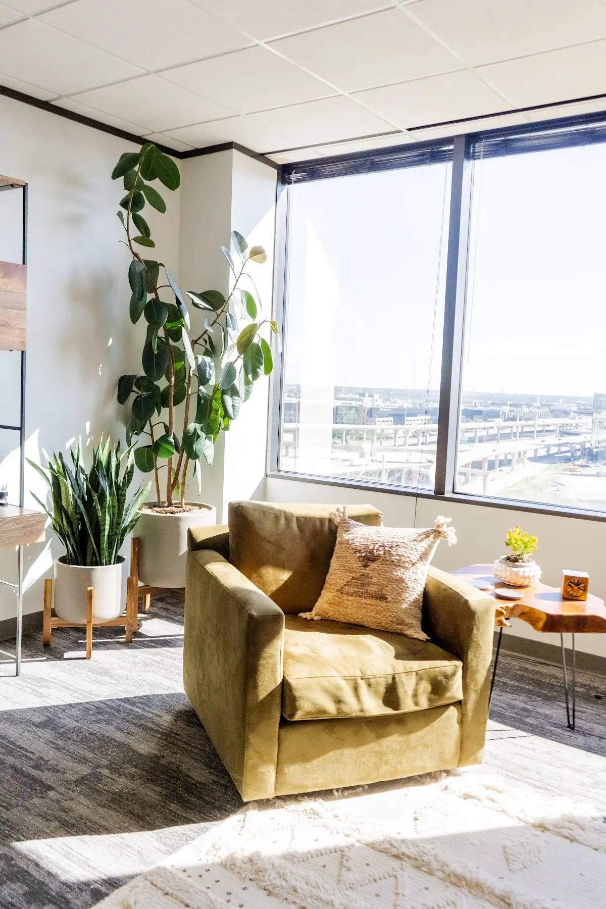 Dallas Mental Health and Performance, PLLC — Psychotherapy in N Central Expy, Dallas